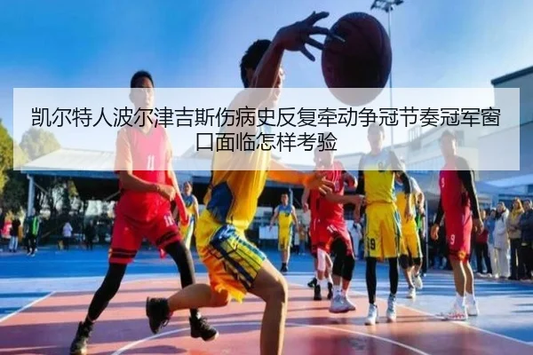 img_1781009784660_2448_1_801.jpg